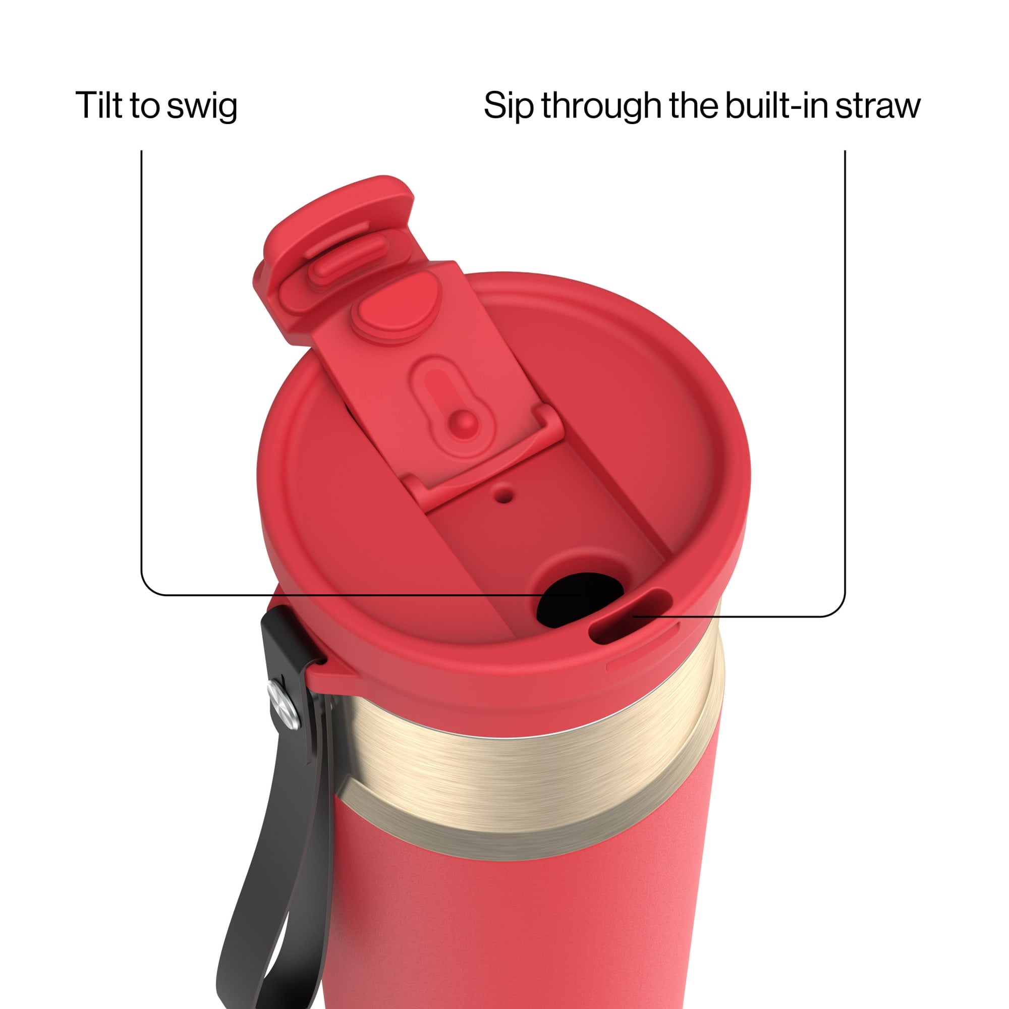 Contigo DualSip 24 oz Leakproof Insulated Water Bottle with Carrying Strap and 2-Way Lid CWXR
