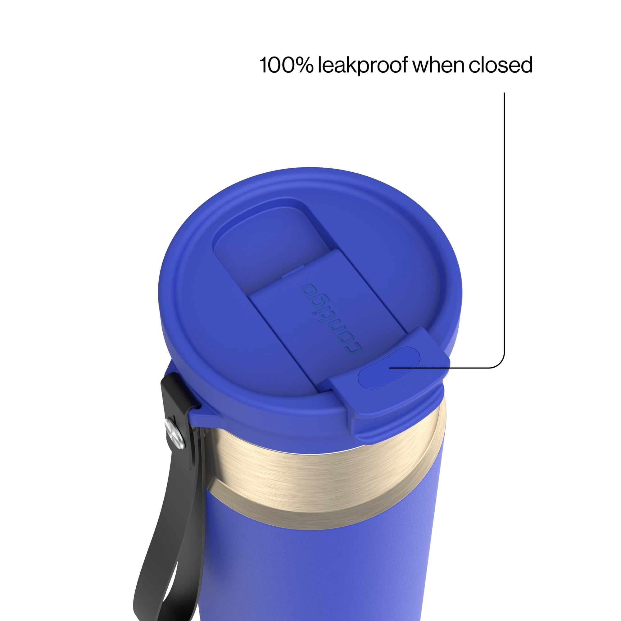 Contigo DualSip 24 oz Leakproof Insulated Water Bottle with Carrying Strap and 2-Way Lid CWXR