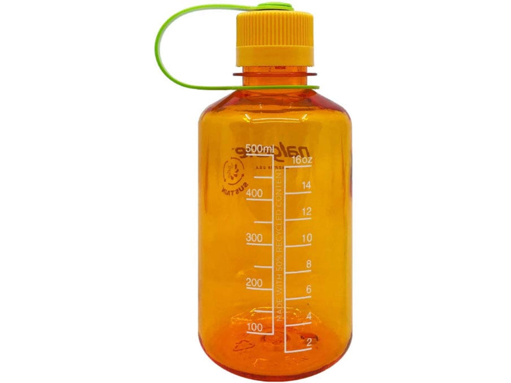 Nalgene Sustain 16 oz. Narrow Mouth Water Bottle - Cornflower Blue ZU3K