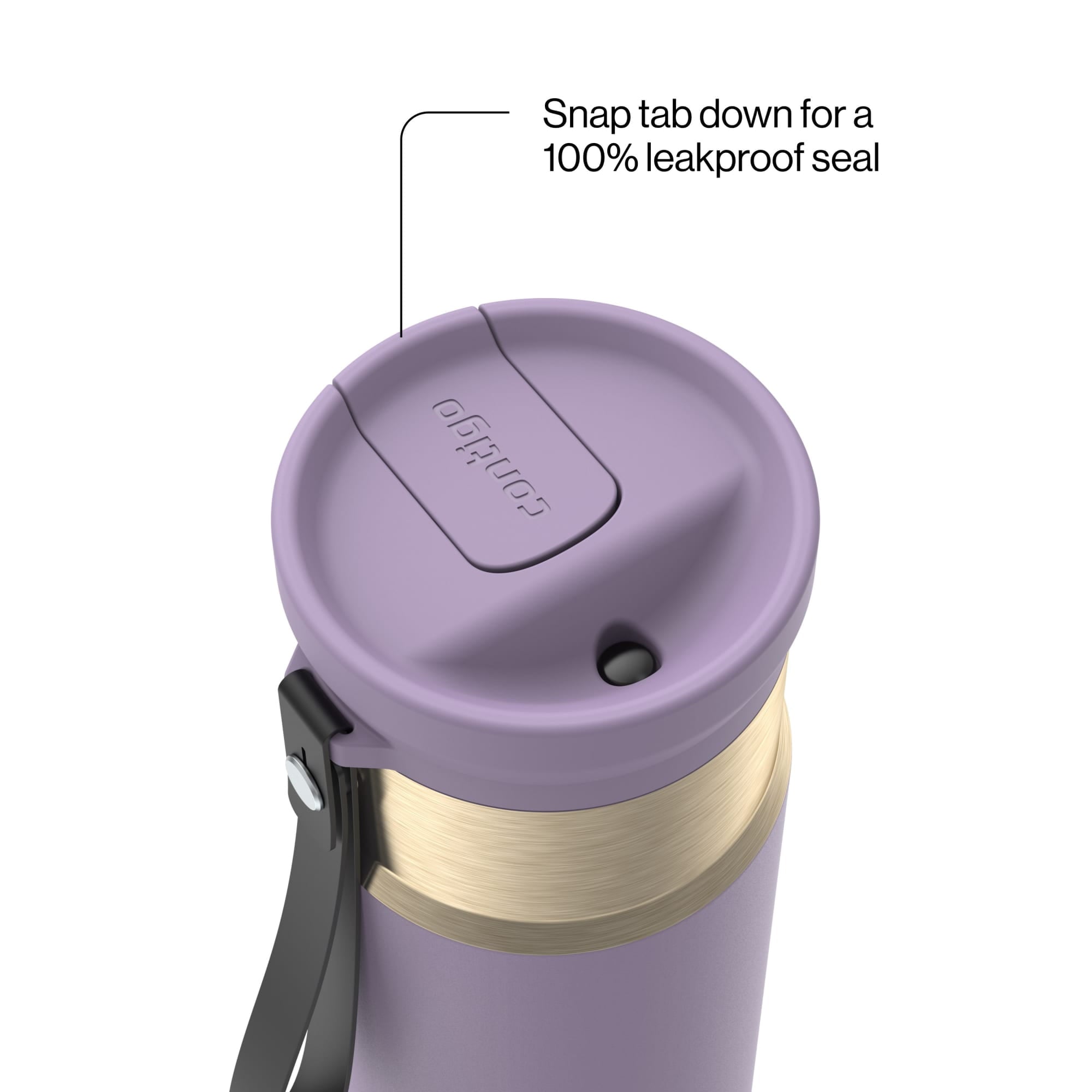 Contigo SnapSeal 16 oz Leakproof Stainless Steel Water Bottle with Carrying Strap A9IT