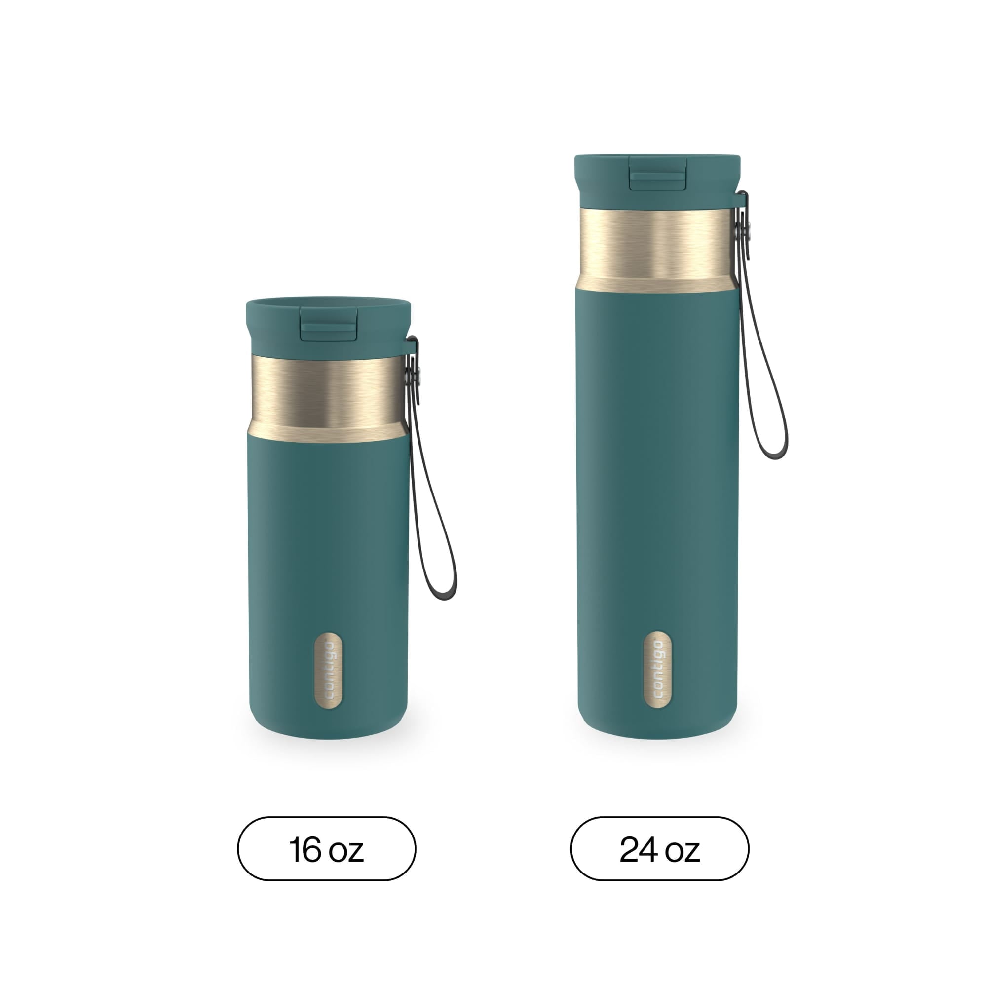 Contigo SnapSeal 16 oz Leakproof Stainless Steel Water Bottle with Carrying Strap A9IT