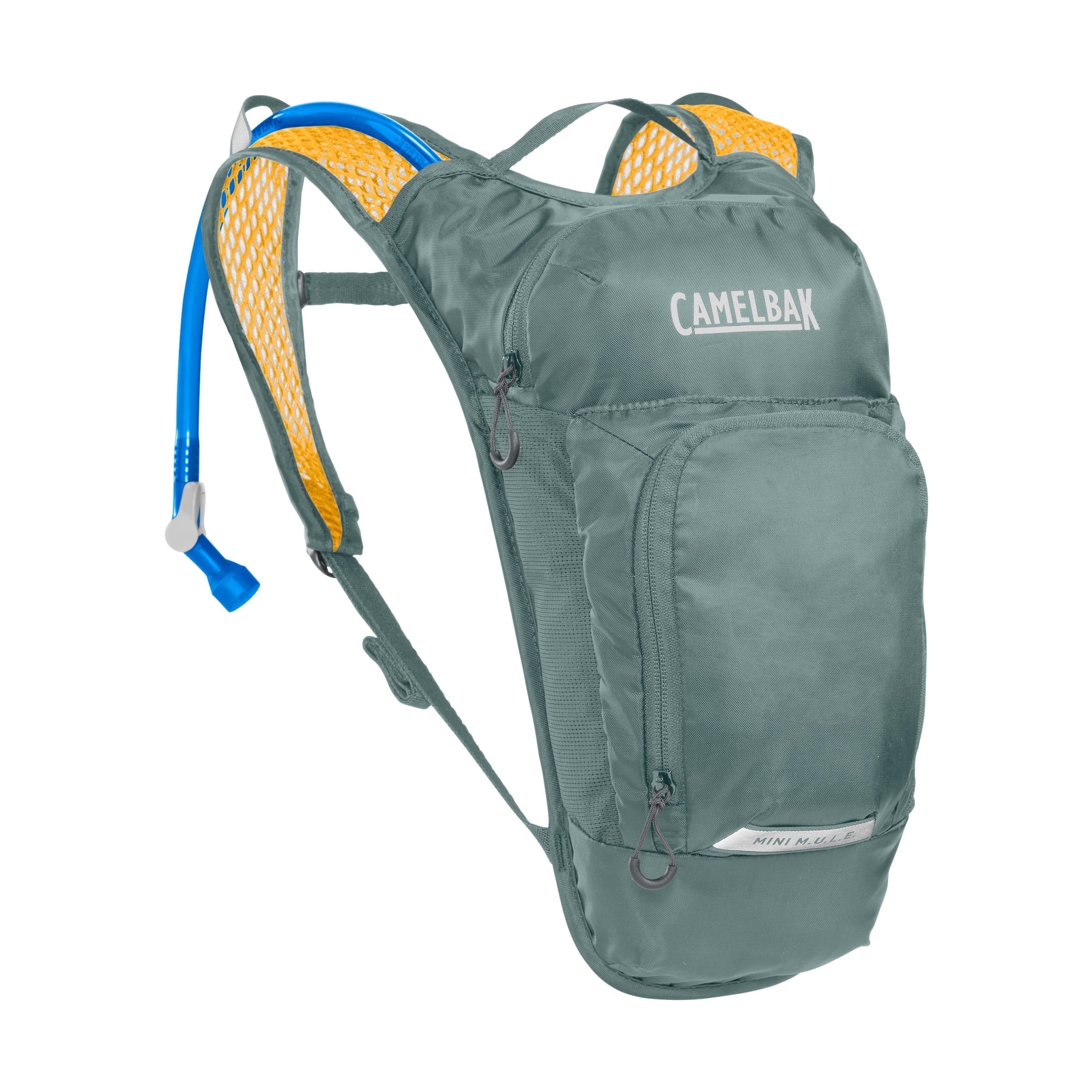 CamelBak Mini M.U.L.E.® 50 oz Hydration Pack, Sharks L4OB