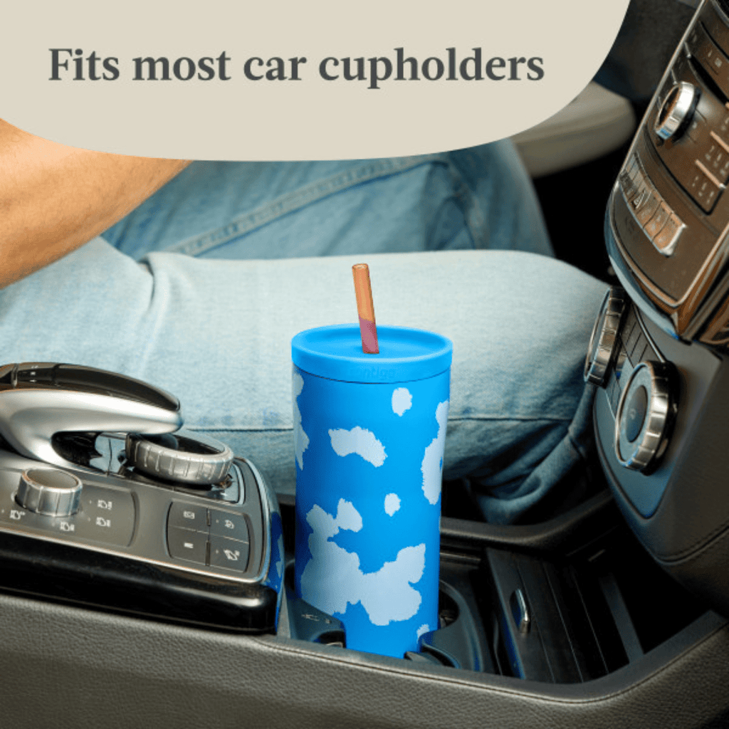 Contigo x Ally Love Streeterville 2.0 Stainless Steel Tumbler with Straw, 24 oz, Stellar Jay AWER