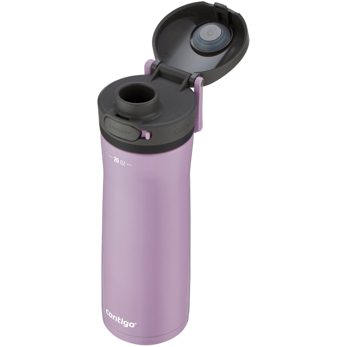 Contigo 20 oz. Jackson Chill 2.0 Water Bottle - Stainless Steel w/Licorice 5LJX