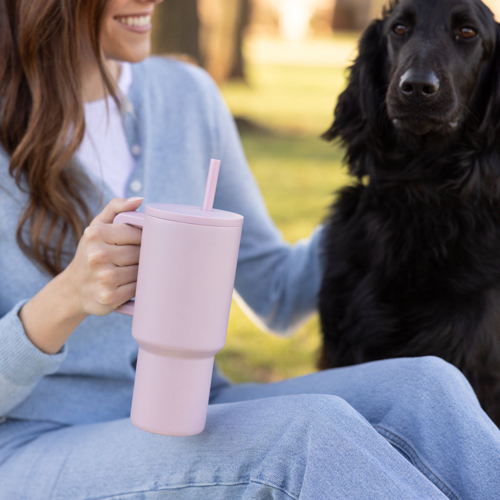 Simple Modern 30 fl oz Insulated Stainless Steel Trek Tumbler with Straw Lid | Seaglass Sage and Cream Checkmate 23VN