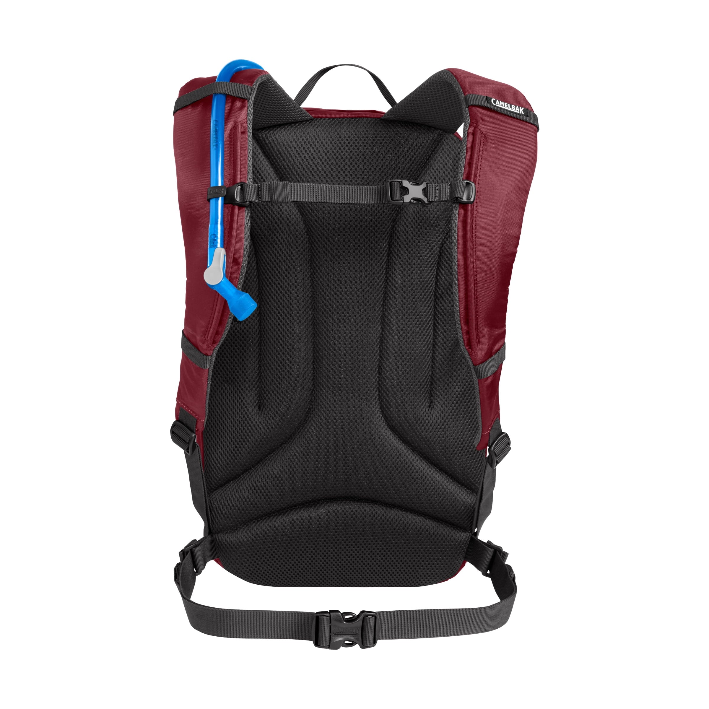 Camelbak Cloud Walker 18 85oz, Cabernet QOPT