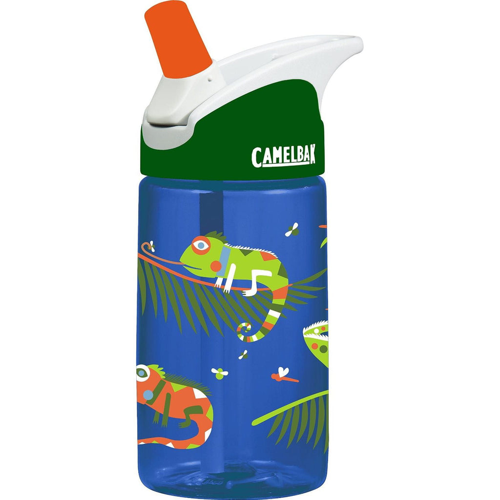CamelBak Eddy Kids BPA Free Water Bottle Airplane Bandits Bottle Only XGHI