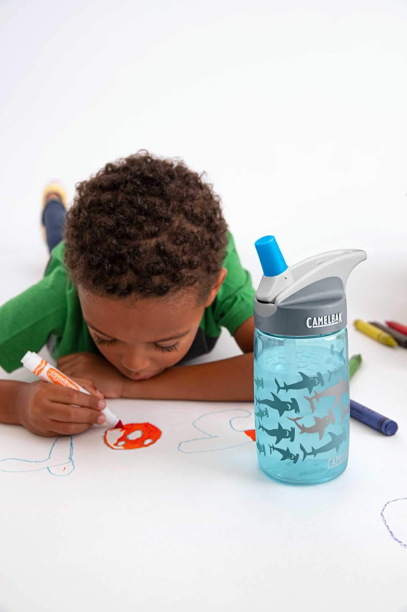 CamelBak Eddy Kids BPA Free Water Bottle Airplane Bandits Bottle Only XGHI