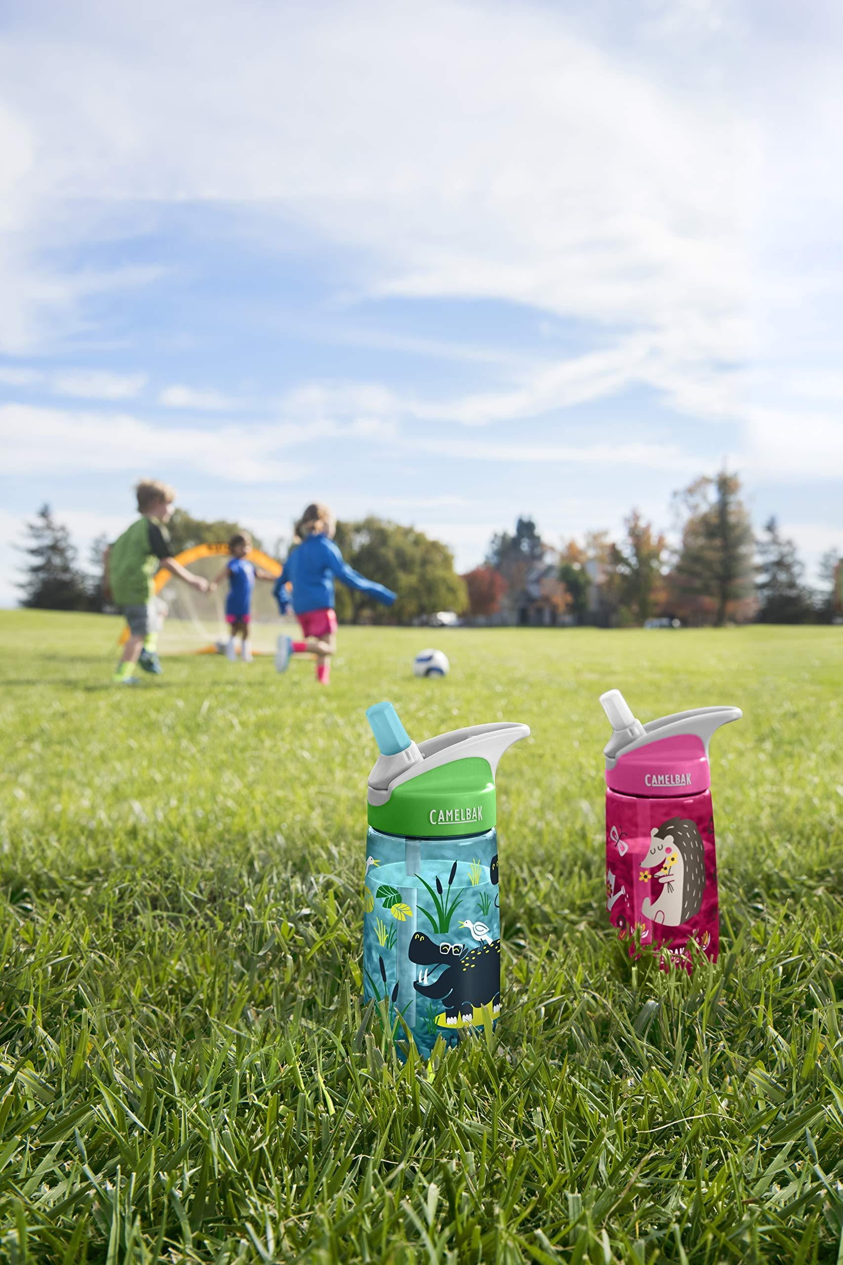 CamelBak Eddy Kids BPA Free Water Bottle Airplane Bandits Bottle Only XGHI