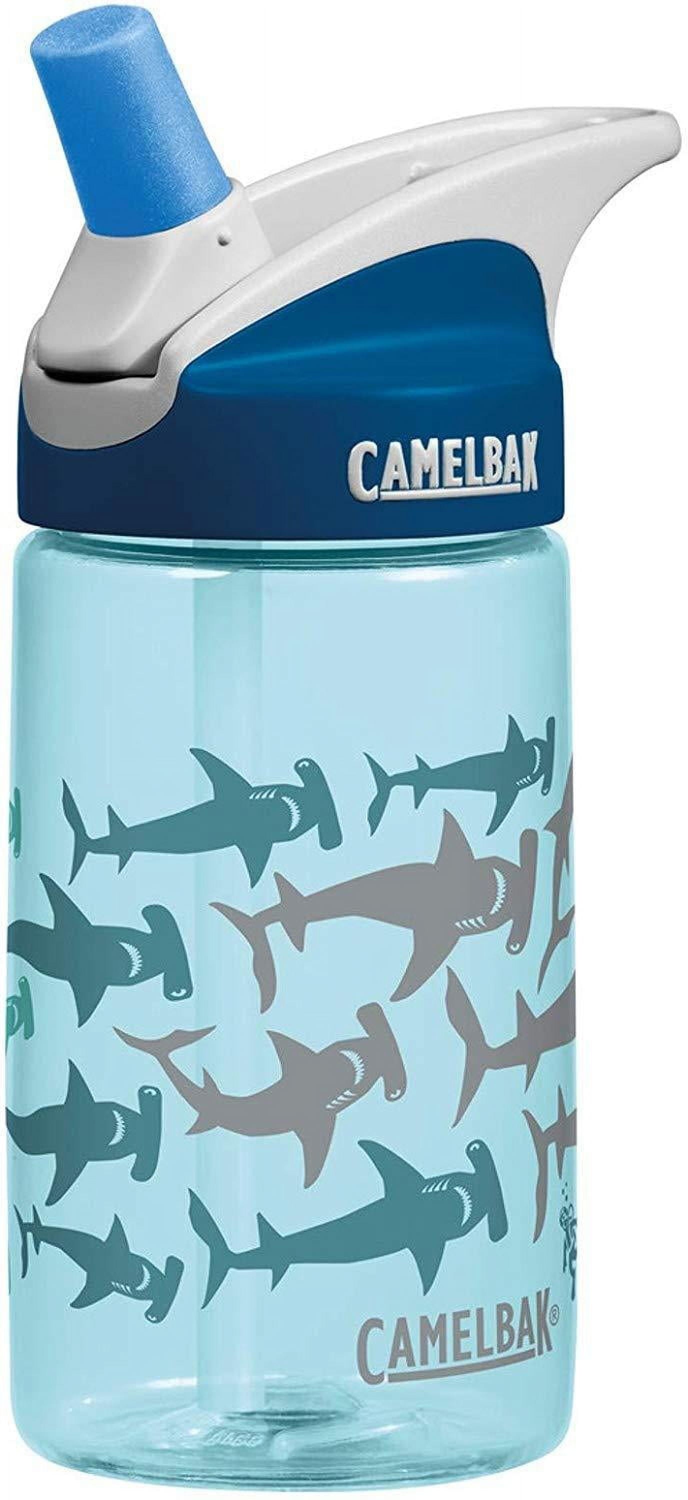 CamelBak Eddy Kids BPA Free Water Bottle Airplane Bandits Bottle Only XGHI
