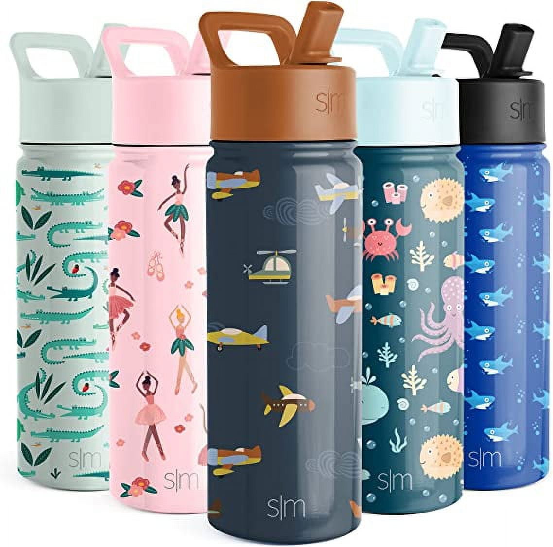 Simple Modern Summit Water Bottle Straw Lid Vacuum Insulated Stainless Steel Bottle | 18 fl oz DDJX