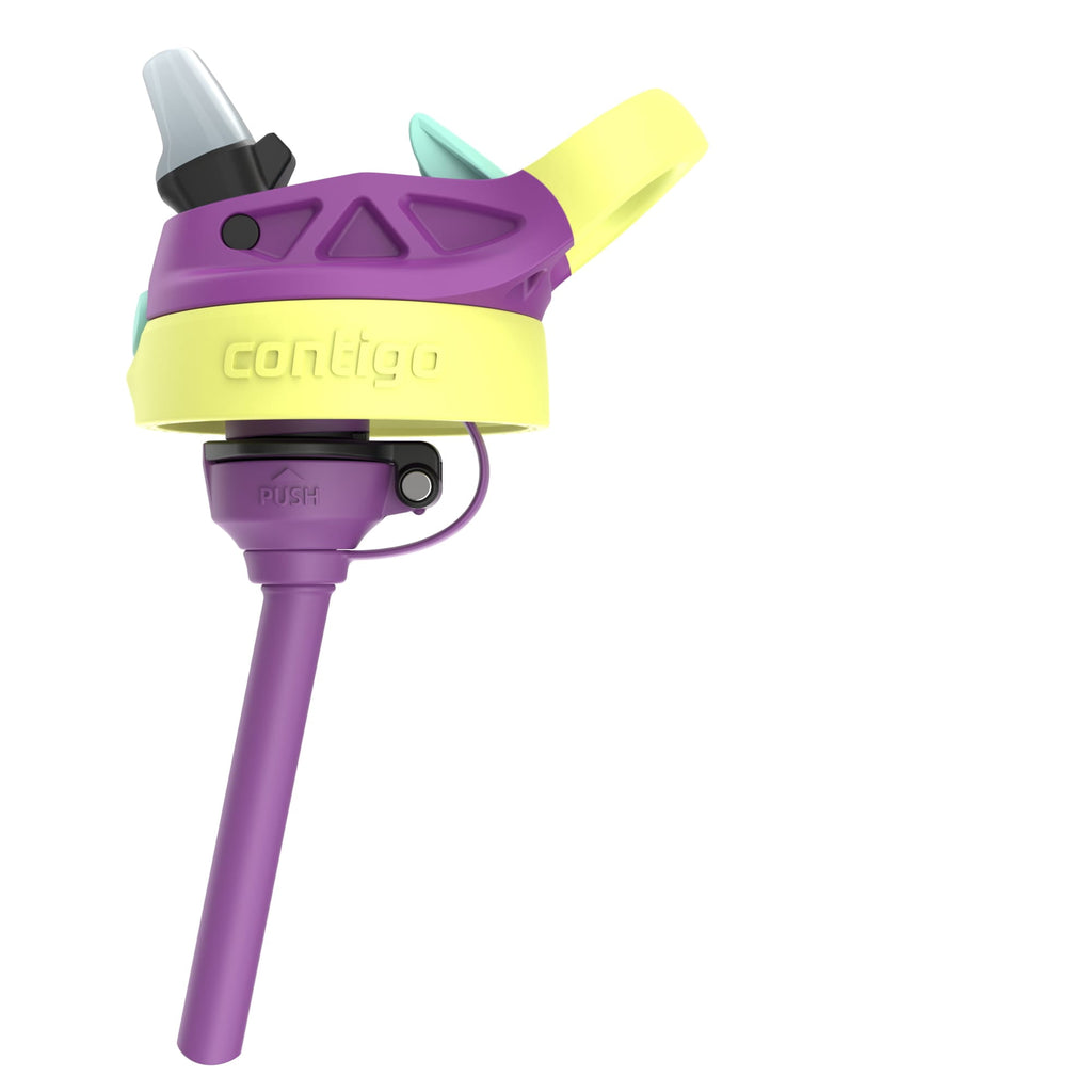 Contigo Kids Water Bottle with Redesigned AUTOSPOUT Straw, 14 oz, Grape Forest Haven QYWR
