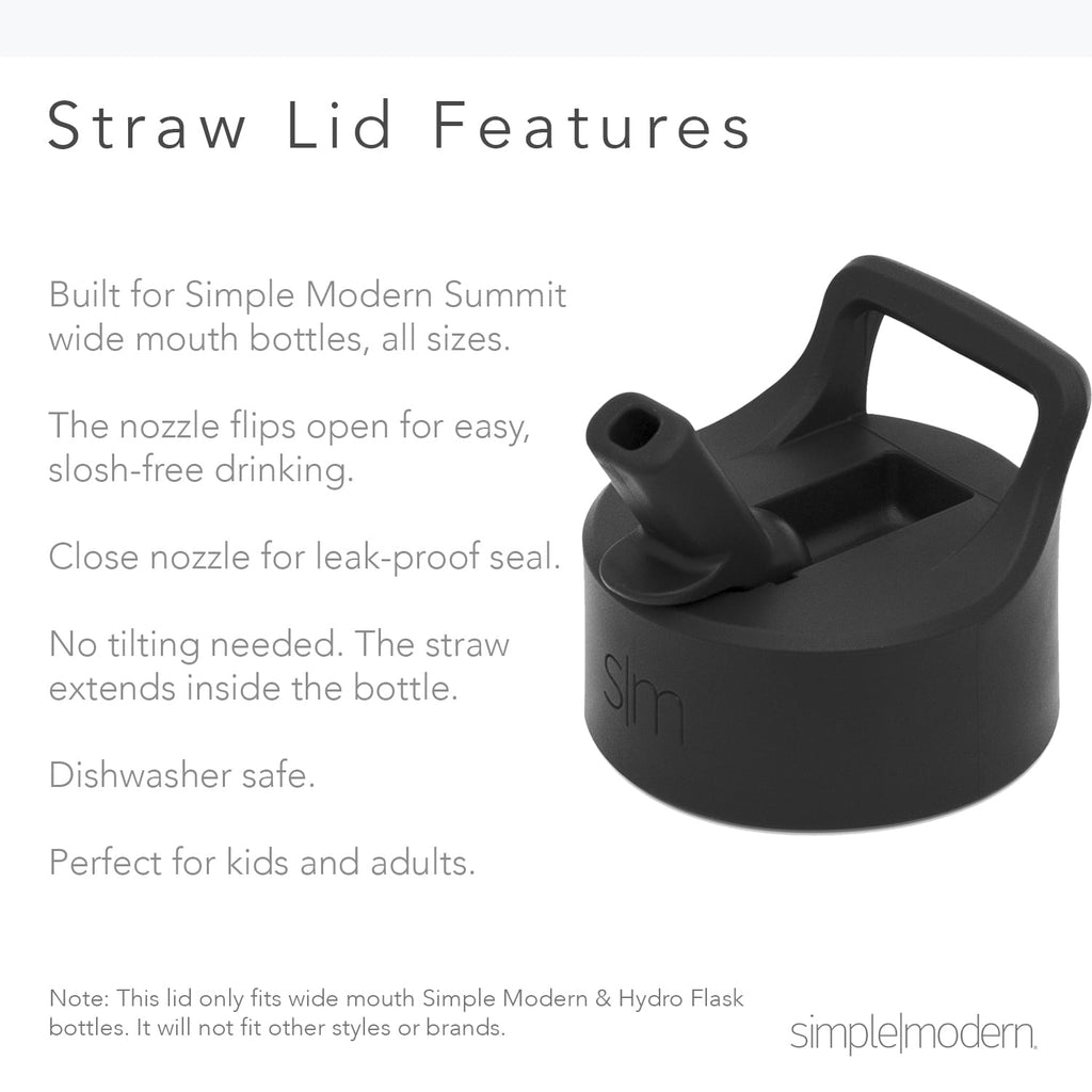 Simple Modern Summit Water Bottle Straw Lid Vacuum Insulated Stainless Steel Bottle | 18 fl oz ZTFS