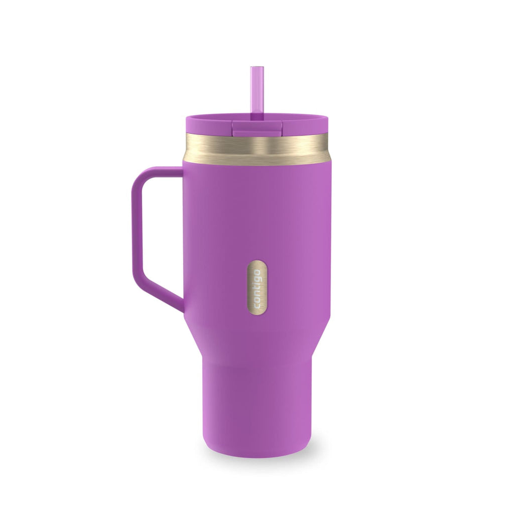 Contigo SnapSeal Leakproof Stainless Steel Reusable Water Bottle Tumbler with Side Handle, Black/Bronze, 30 oz HUIJ