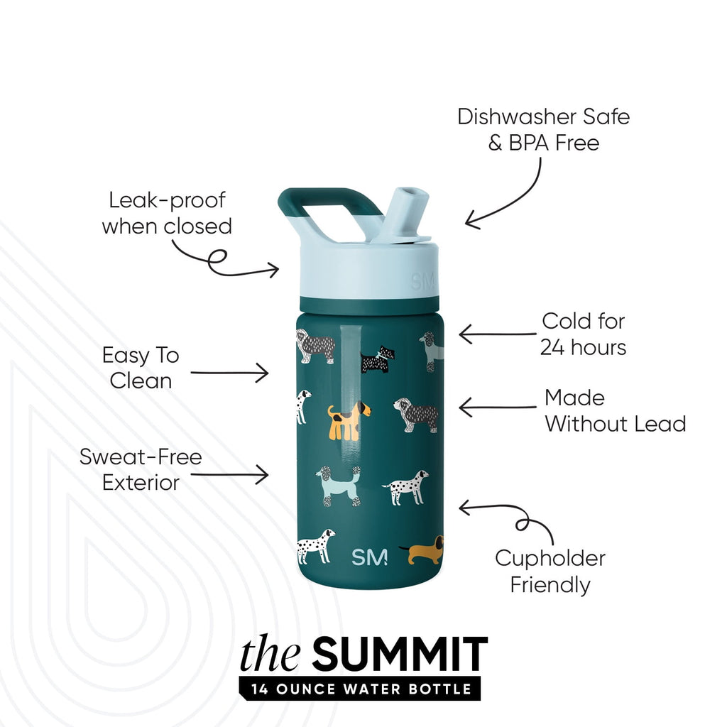 Simple Modern 14oz Summit Water Bottle with Straw Lid | Confetti F3KE