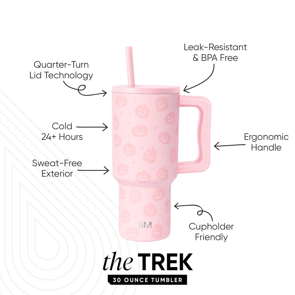 Simple Modern 30 fl oz Insulated Stainless Steel Trek Tumbler with Straw Lid | Seaglass Sage and Cream Checkmate 23VN