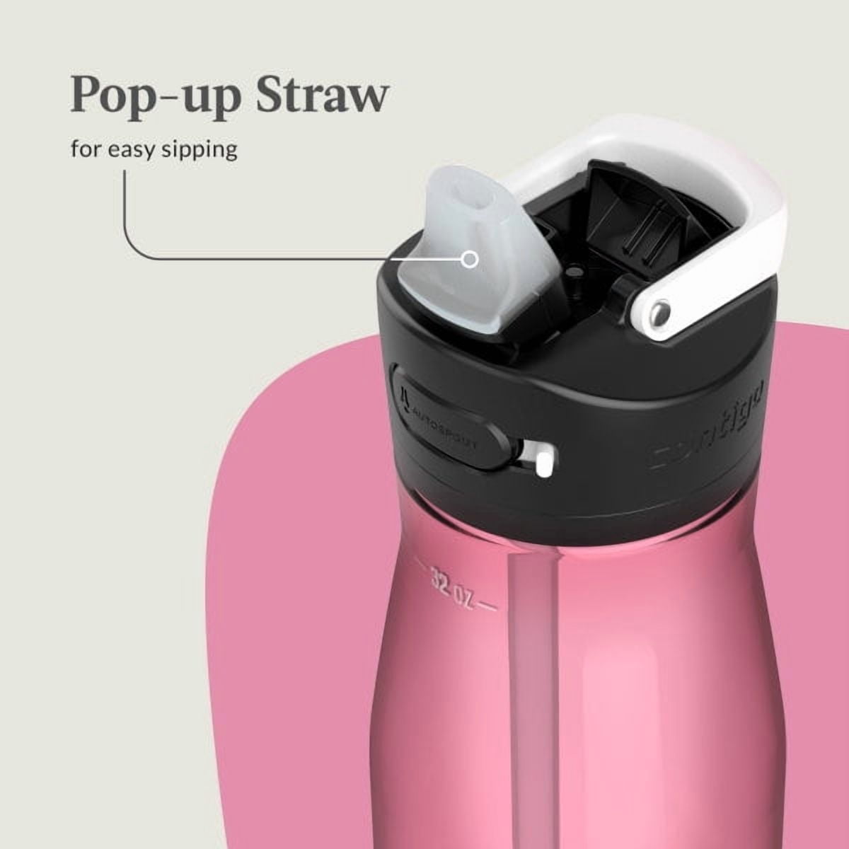 Contigo Ashland 2.0 32 oz Licorice BPA Free Water Bottle 4VLG